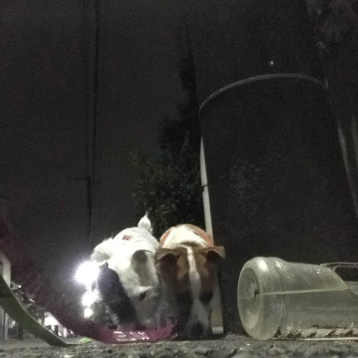 D683dffe 9b1f 4fe2 9f7f df232852b68b 1508331871642