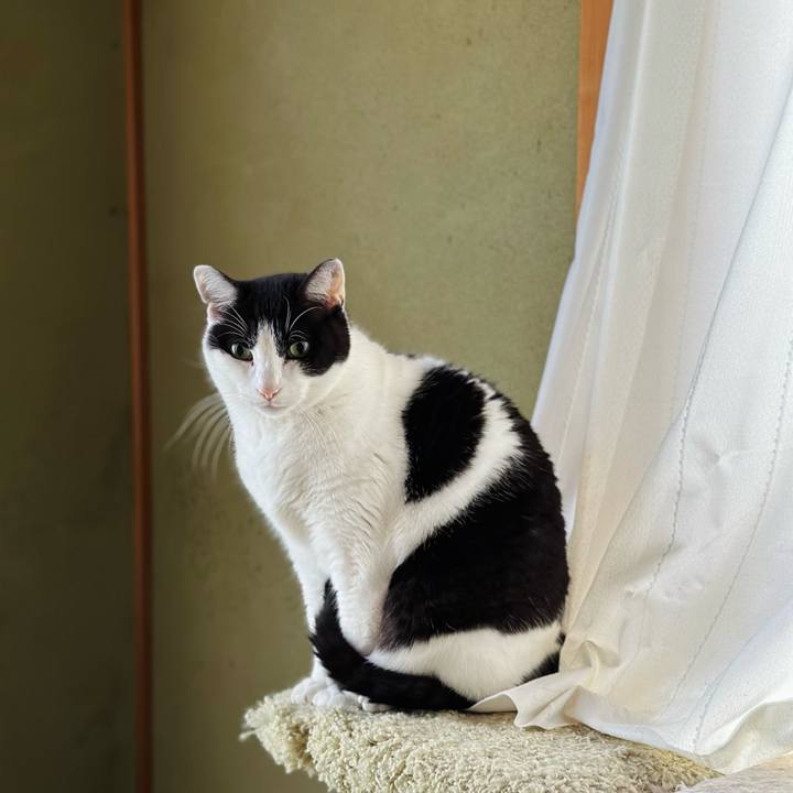 D683e0ad 8ad3 482d a430 3545293034fd 1672370371216