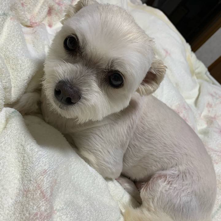 D68401d8 0693 4ca5 a193 50fd7970b626 1621425083154