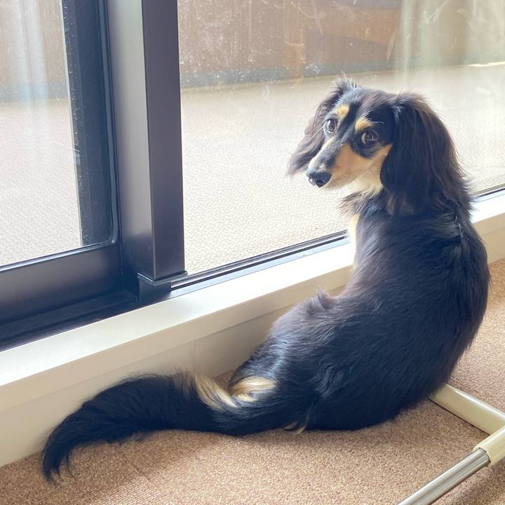 D6844f8e cfa0 4ff3 b76f 6f37b80a1192 1719447179185