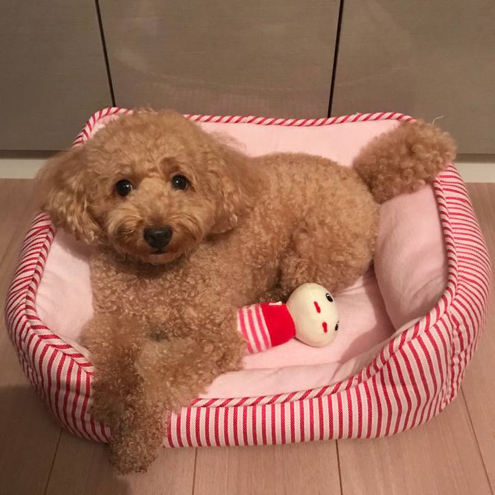 D68484a4 8acf 4101 bd33 10fda85c32ae 1534603108047