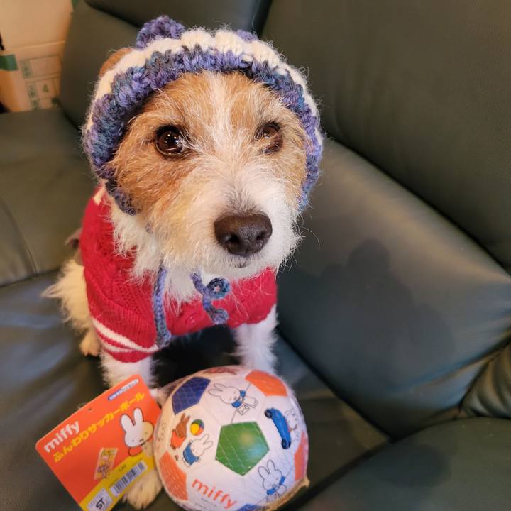 D6849500 2ccc 4521 b53f e91f74875dfb 1669380137754