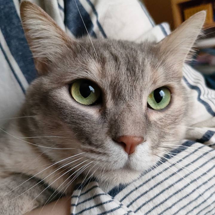 D684b4ce 757f 4643 8d9b f485951c99dd 1650695914783