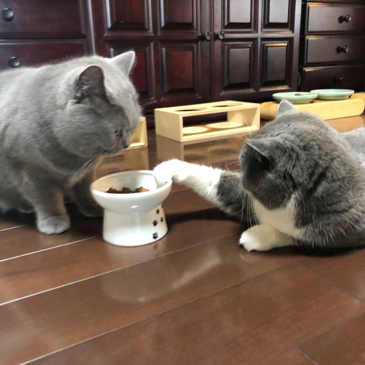 D684be0b 70cb 4d63 8bd4 404a51f1e6a6 1553919722815