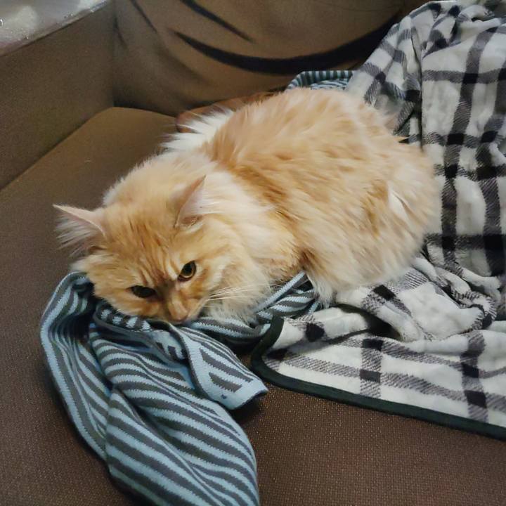 D684c447 3331 43f4 aa60 da685f19f503 1680817800381