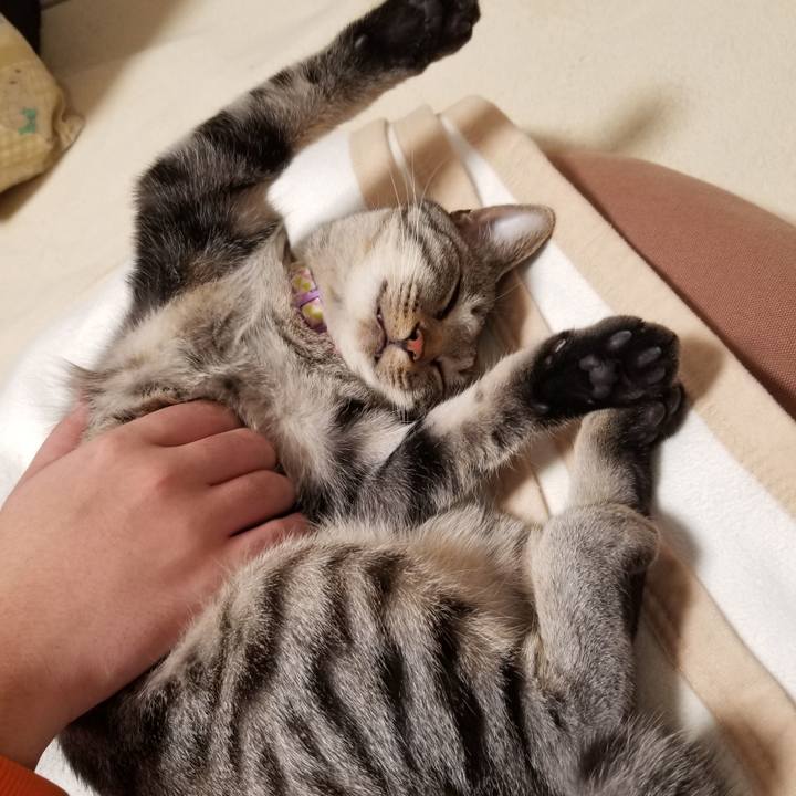 D684c459 f820 4ad6 894f 6028eb94108e 1681320097194