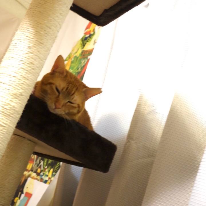 D68517e1 a801 44af a999 8d1894dfa7ef 1589023380202