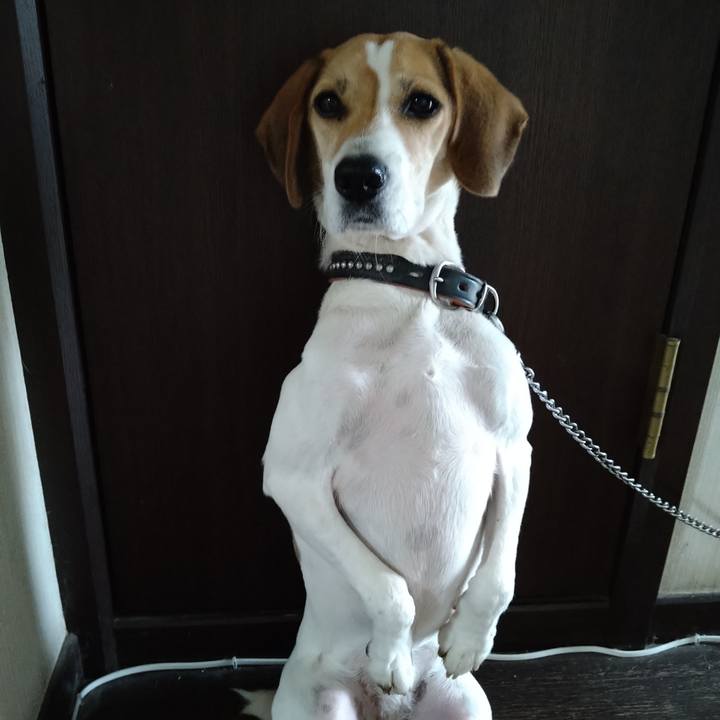 D68522c7 8b07 4cd7 b07d 0af73f2480ec 1642253129578