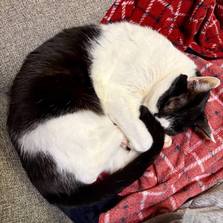 D6852708 7eb4 48bd ba20 da68654c11f8 1769211277455