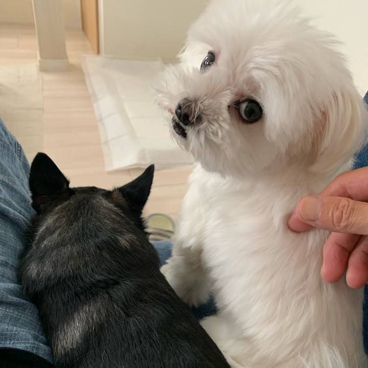 D685361b fd4d 4ae1 aeb1 2d43be68deb4 1661064353218