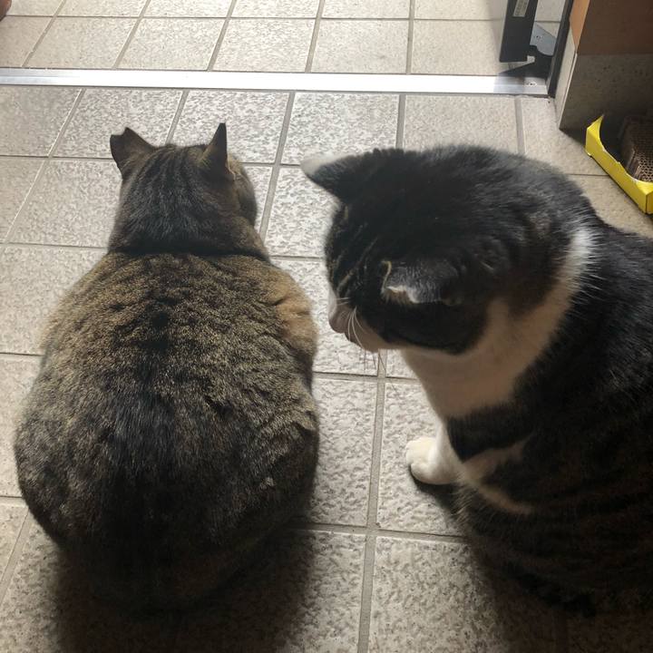 D685a8b3 3fdc 4585 91b6 63b2bf27393c 1549442115265