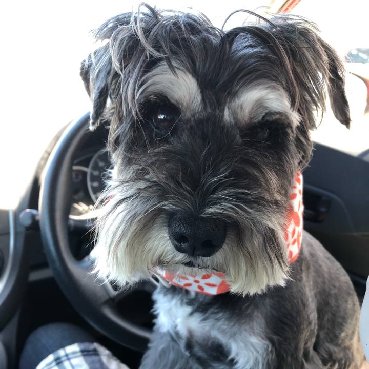 D685ac26 e5cb 4e99 b6f9 794a240166fa 1691634682567