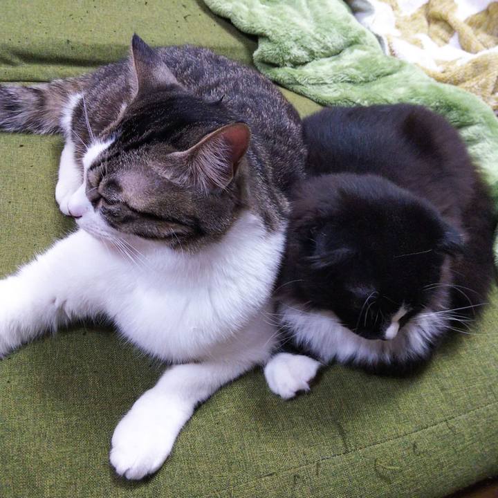 D685db6c dd89 4261 a396 a256d7440ac5 1644470809393