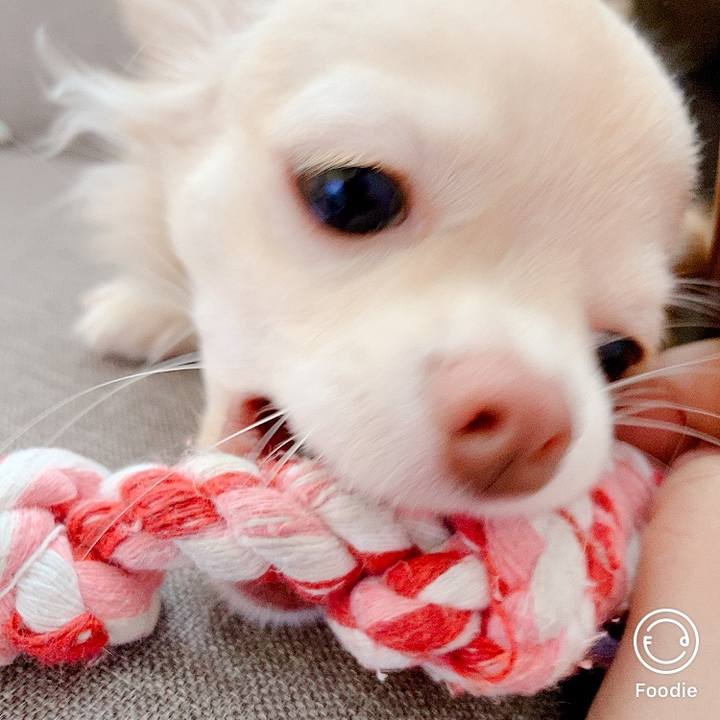 D685e1e0 90d0 4dcb 818a f093f49cc1e6 1599012582171