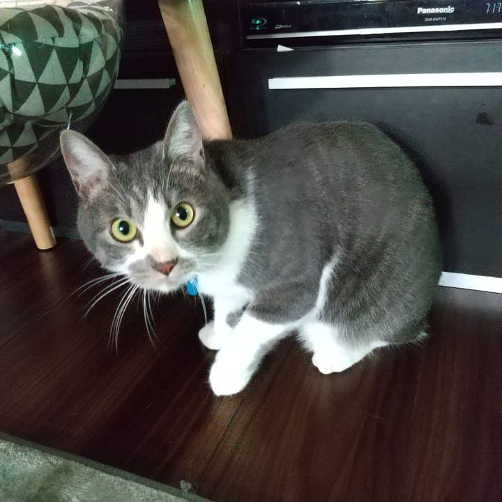 D685eaad 02e2 4324 8374 394af14f3630 1602973151035