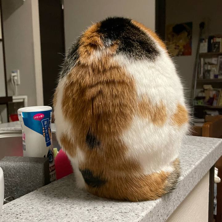 D685ec62 f05c 42ba be71 700d2f300552 1708956563364