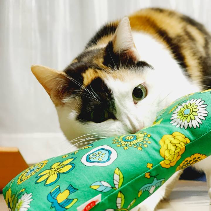 D6861664 13fb 451e afac 19dcc9416603 1584493262033