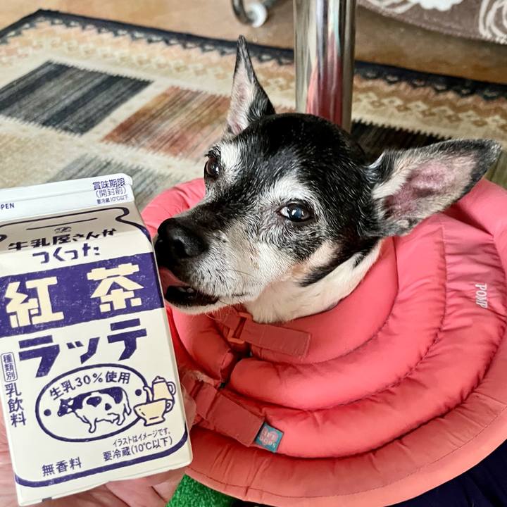 D686300b fa25 4351 9fff 52e13c06f19f 1648256357096