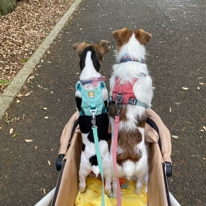 D6863412 9b8a 471c b0a3 e13c9ee4c62b 1746432672264