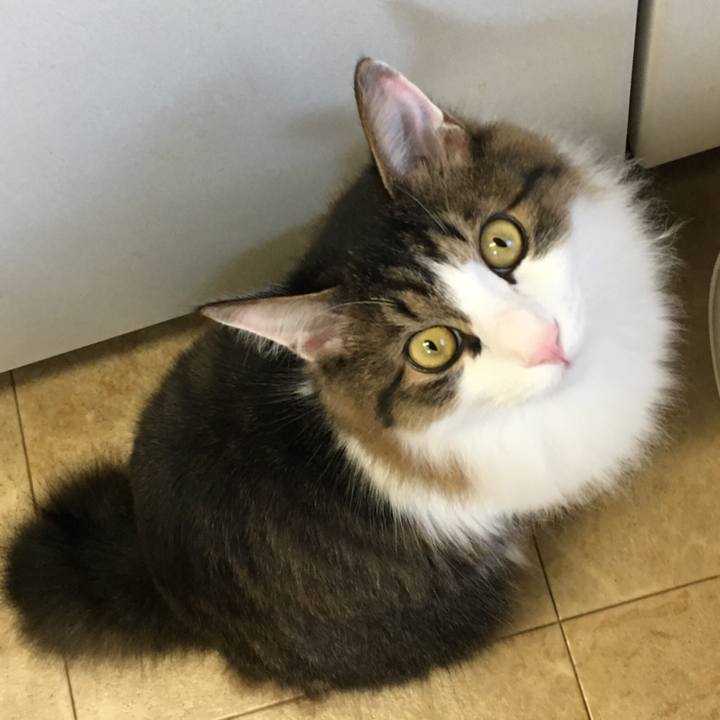 D6864386 b2dc 4911 8d2e 7e47e516b3a6 1512430295322