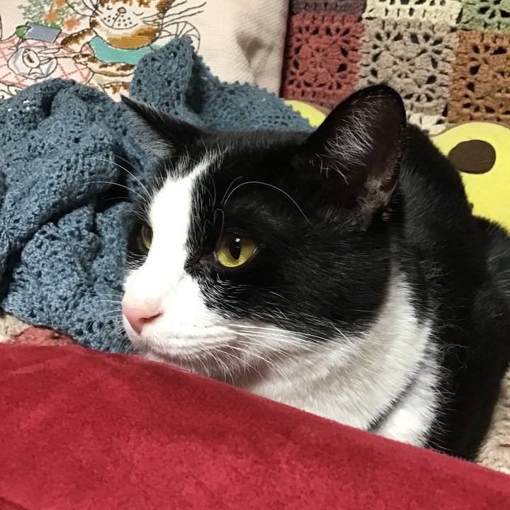 D686750f 61bc 4d43 8424 aaf4d8ef8614 1670419493503