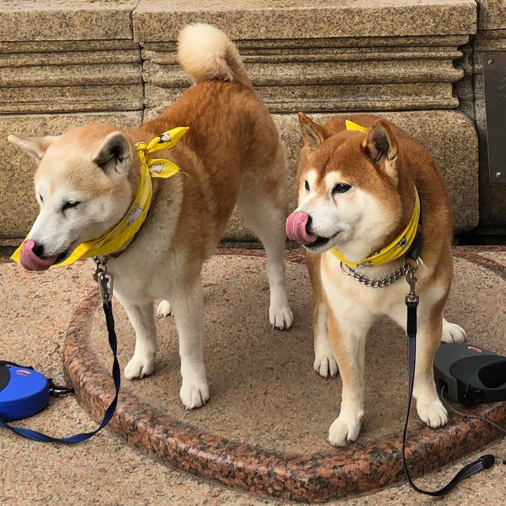 D6869f01 a70b 4f8b 8b0d a27535e4d009 1554159195746