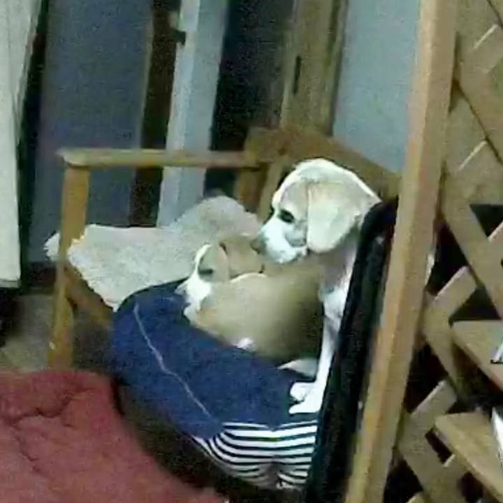 D686b7b6 b36a 4d20 85d6 e57489878955 1595327221596