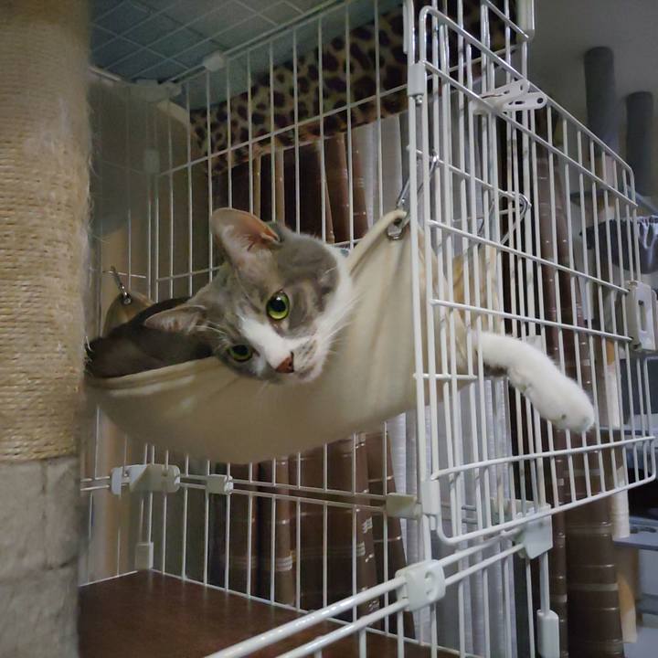 D686bead 4735 4582 bb6a fabd458b11b6 1695033334338