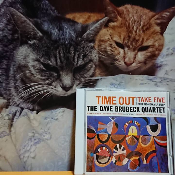 D686eb51 9f9c 4ace 94bd 197a19475a25 1619610061317