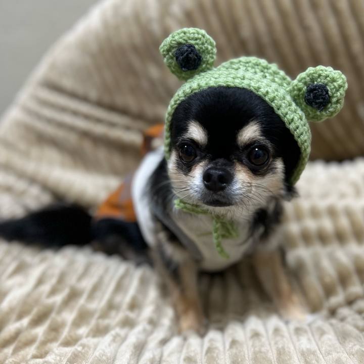 D6874497 247c 41ff a0a8 c4a3892c739d 1665530328699