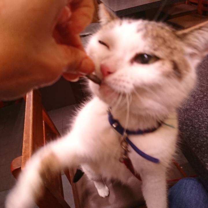 D6874aa4 48b8 463f 8b6f b75cabb27e85 1572521604774