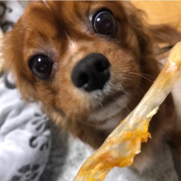 D6874c34 ddd4 45cf 8538 75a18b859222 1545474736457