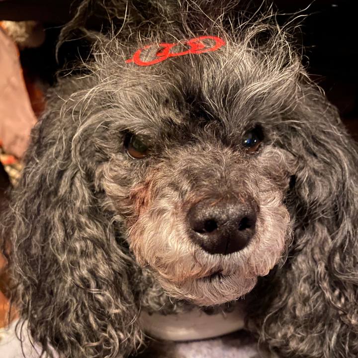 D6877154 84d9 4e24 ba3c 632cec826681 1766808291693