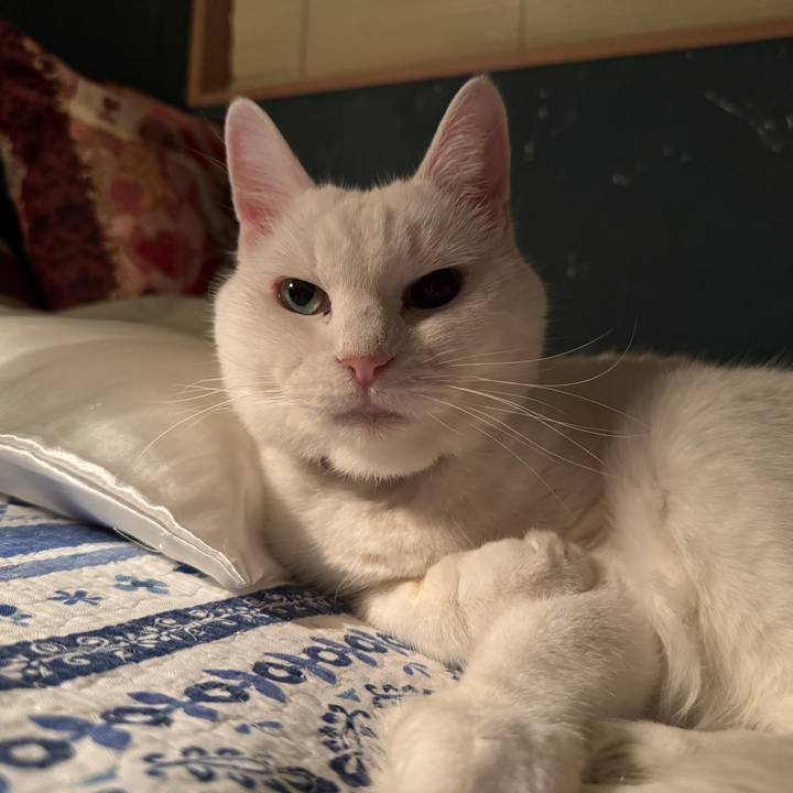 D68788d1 e44b 4a31 8d0d 93242fb8c782 1764692098194