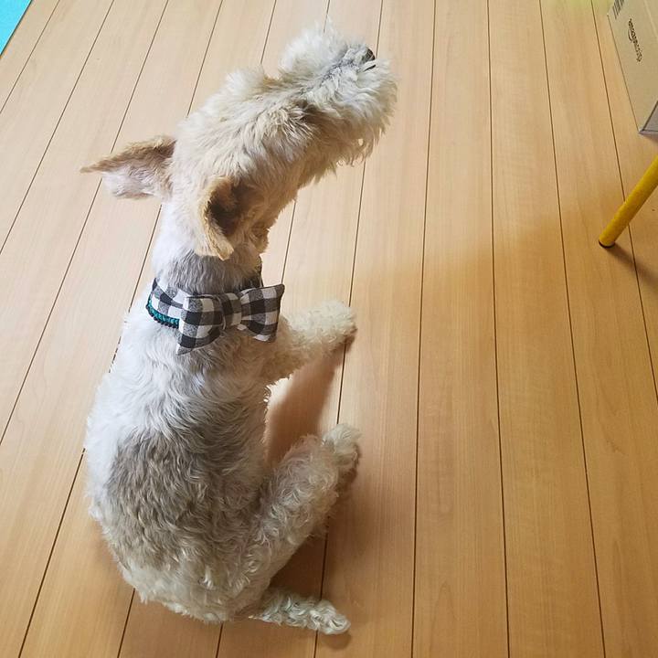 D687afa9 6a97 44f4 ae80 e99c5c1c9008 1530410668108