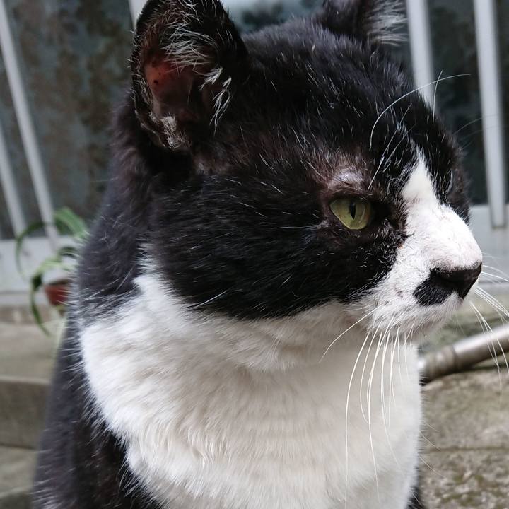 D687bdc5 cb37 4bbe 8a1c c552a98ce4e1 1579934381697