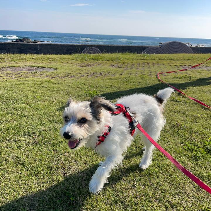 D687cfee 850f 444b 8a18 cad5583e6e40 1761824901689