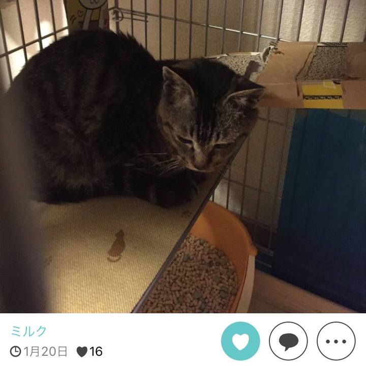 D687e118 9bc2 48b1 96ff a4aa0e9cb239 1511689815339