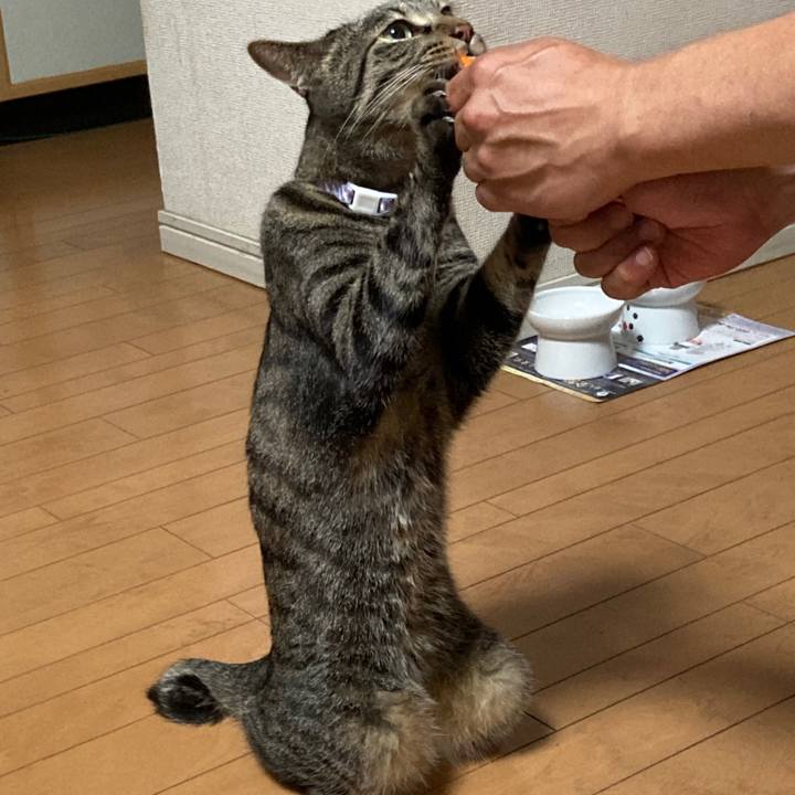 D687eeb0 0bd1 42fd 897f 7104b0cf764a 1627442550045