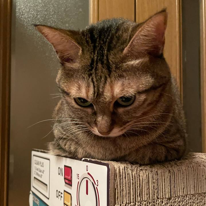 D6881c55 c0ba 48a1 9586 e6487b997cc7 1700738686498