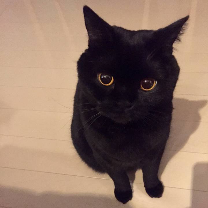 D68825b5 1e1d 47e5 afd8 1223d366d83b 1579272327160