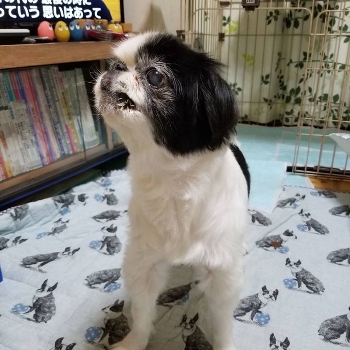 D68841a2 10ef 41e3 831b 924bc4717aca 1601804663186