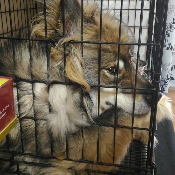 D6885206 690f 4897 8329 5376c14ff80e 1532419610575