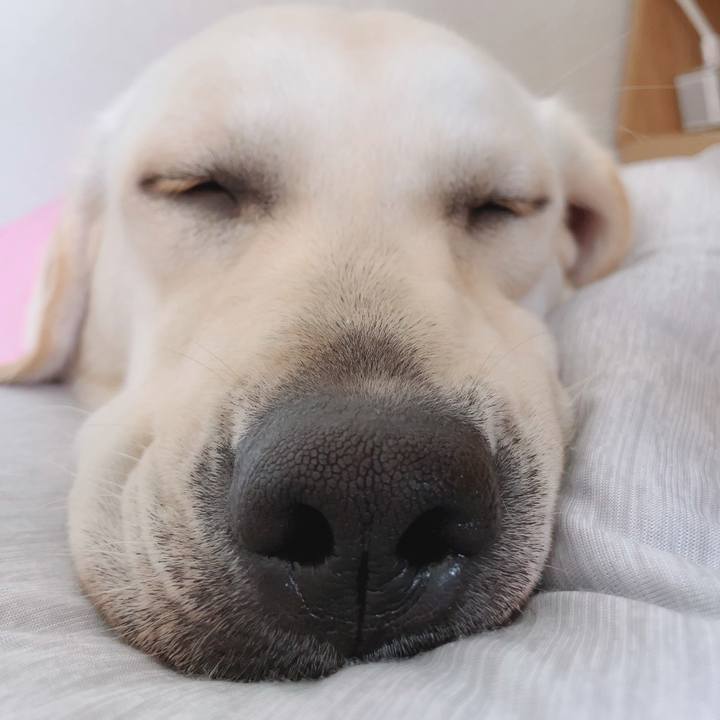 D688a8c3 9b21 4b0e a628 036c5d6c796e 1633563682536