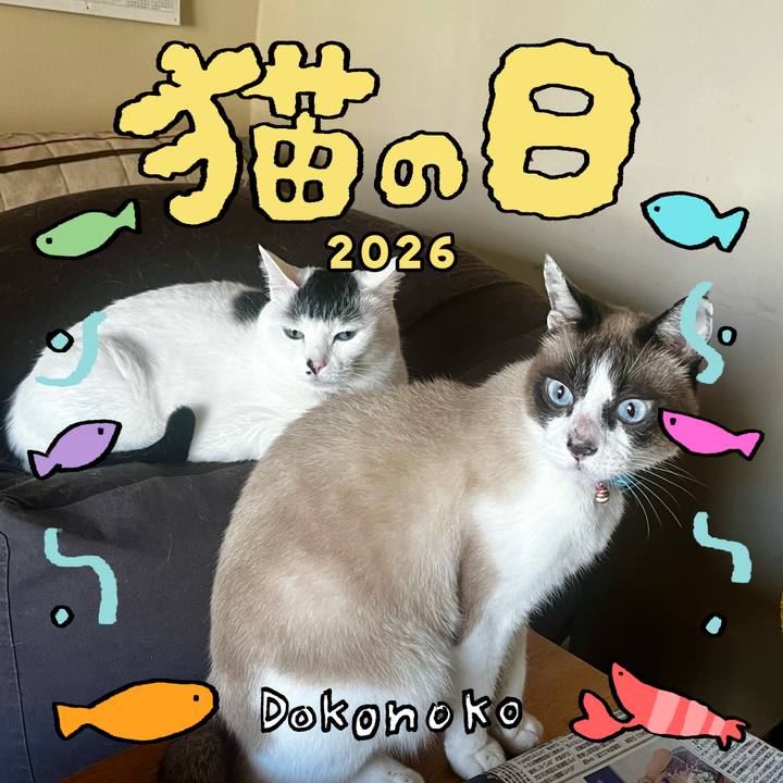 D688b111 e616 40e1 bc79 fcb7eb65dcbe 1771717803679