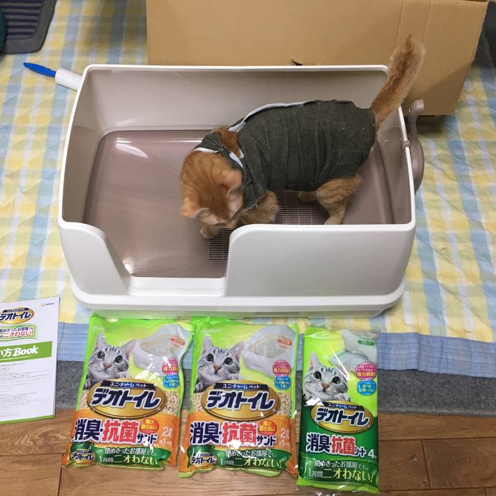 D688ce35 25e0 404f b663 e206c050f950 1534420480900