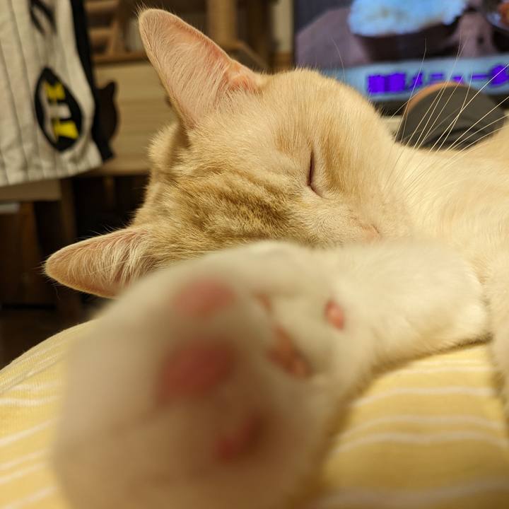 D688f876 95a1 4fd8 9225 80bc148f8207 1693141262509