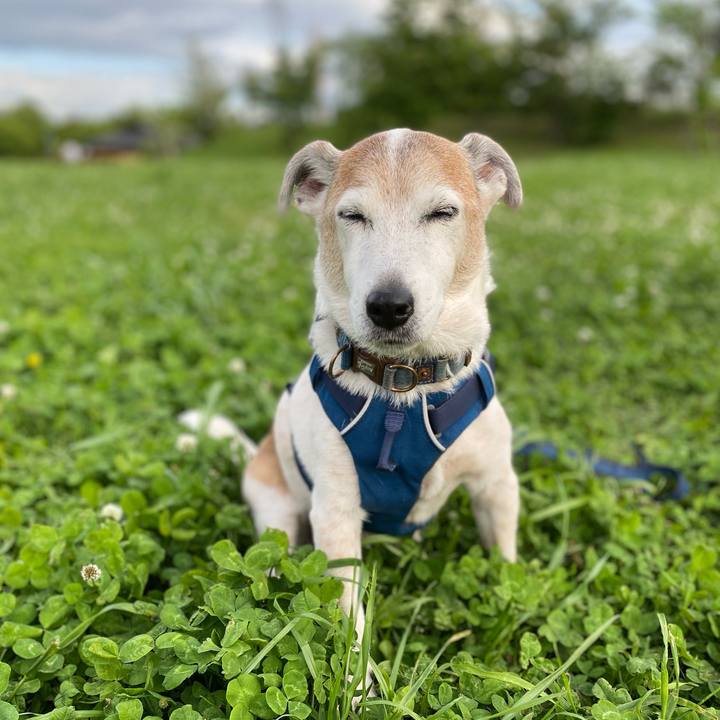 D6892c62 c532 4aee 8440 4bed80b9ba0c 1651915965237