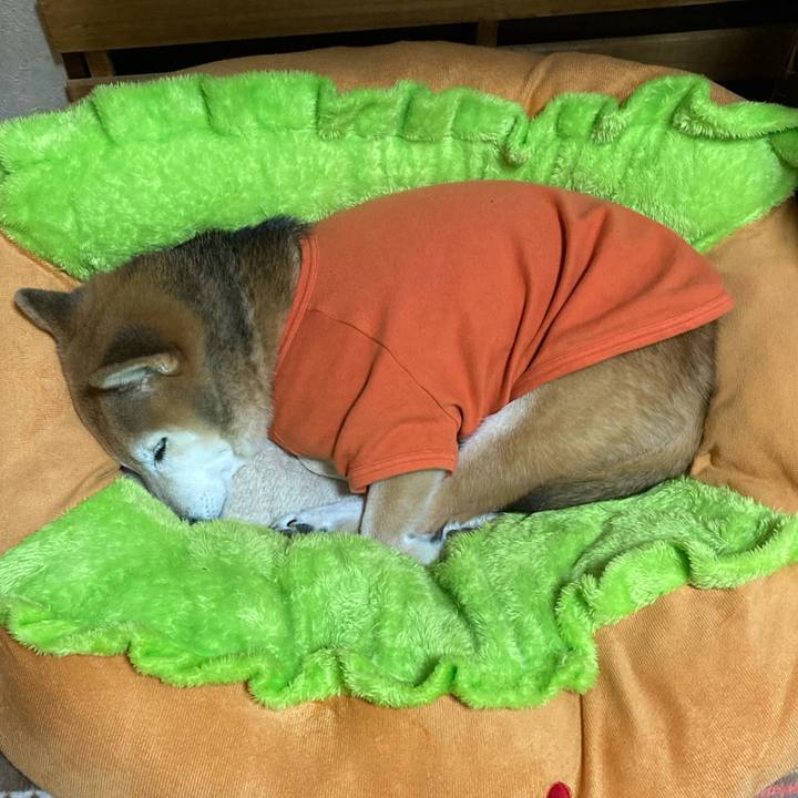 D6893afa afc3 44c4 a4d5 beab1b36505d 1763208328733