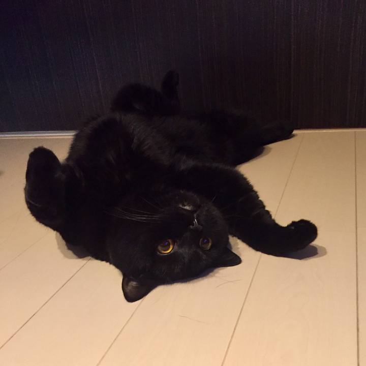 D6897720 1591 47b9 a783 992eb1fc478d 1568106285500